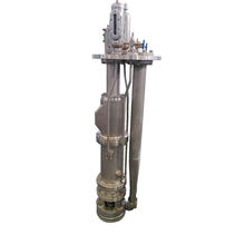 Système profond hydraulique de pompe à essence de cargaison pour le pétrolier